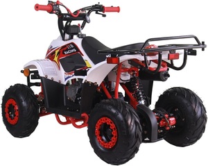 ATV Quad de 110cc para jóvenes, ATV de 4 ruedas a gasolina de 110cc, ATV todoterreno de tamaño infantil, vehículos de 4 ruedas dfdsg - Product Image 2