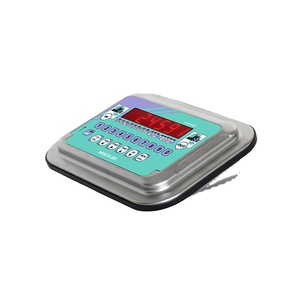 Pont-bascule industriel WINOX-BR en acier inoxydable avec indicateur de poids, 100 % rentable, qualité supérieure, en promotion - Product Image 1