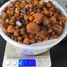 High Quality Natural Origin Animal <b>Extract</b>-Sun-Dried Cattle Gallstones Trusted Supplier - Product Image 2