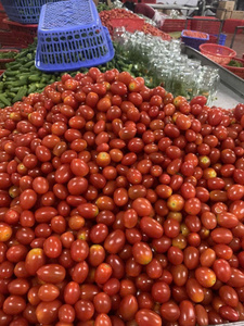 HIGH QUALITY <b>PICKLED</b> CUCUMBER AND TOMATO <b>MIX</b> FROM TOP VIETNAMESE SUPPLIER - Product Image 5