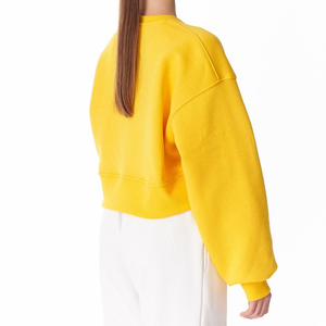 Autumn Women's Custom Hoodie Streetwear Crewneck Sweatshirt with Embroidered Logo Cropped for Yoga & Gym Workout - Product Image 2