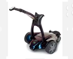 NOUVELLE ARRIVÉE X10 Voiturette de golf électrique télécommandée de haute qualité, automatique, personnalisable, emballage OEM - Product Image 2