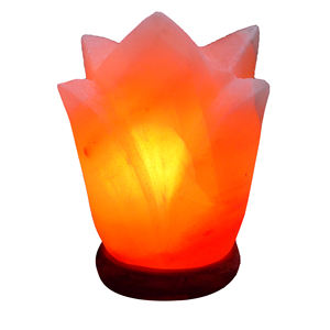 Elégante Mini Lampe en Sel de l'Himalaya Style Fleur Artisanat Naturel avec Décoration Ioniseur Ultime Amour Élégant - Product Image 1