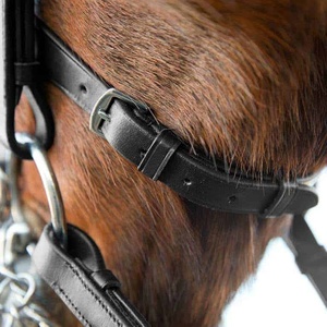 Brida de cuero con filete de caballo Diseño personalizado Precio barato Venta al por mayor Brida de cuero con filete de caballo Cuero real Alta calidad 2019 - Product Image 2