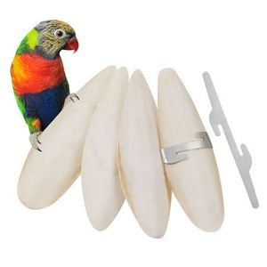 Hueso de Sepia Natural Premium Seco para Loros, Aves, Reptiles y Mascotas Pequeñas - Product Image 1