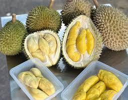 EXQUISITO DURIAN SIN SEMILLAS CON DULZA NATURAL Y FRESCURA INCOMPARABLE - Product Image 5