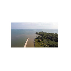 Troncos de Muebles personalizados largos de haya, calidad superior a precios inmejorables a granel - Product Image 3