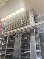 Nouvelle cage à poules pondeuses de type H à haute efficacité en acier galvanisé, équipement avicole automatique pour la production commerciale d'œufs