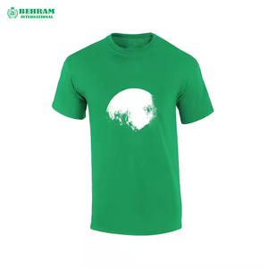 Camiseta Blanca Lisa de Algodón 100% de 180 g/m², Corte Regular, Ecológica, Antiarrugas, con Impresión de Logotipo Personalizado en la Parte Delantera, para Hombre, Precio Económico - Product Image 3