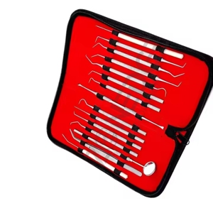 Juego de herramientas dentales integrales profesionales Instrumentos de laboratorio de acero inoxidable para limpiezas Kits dentales - Product Image 4