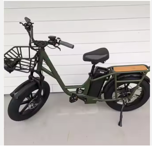 Bicicleta Eléctrica Utilitaria Fiido T1/T1pro Nueva - Product Image 1