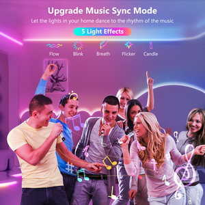 Tira <span class=keywords><strong>de</strong></span> luz LED AC220V controlada por voz <span class=keywords><strong>de</strong></span> <span class=keywords><strong>Alexa</strong></span> y Google, tira <span class=keywords><strong>de</strong></span> luz LED multicolor con cubierta <span class=keywords><strong>de</strong></span> silicona - Product Image 5