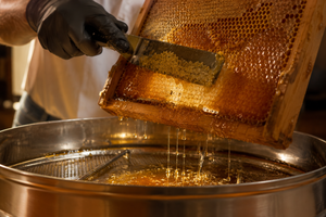 <b>Honey</b> Harvest Eucalyptus <b>Honey</b> 20kg Pure Natural Raw 80% Brix From Madagascar Premium Quality Bulk Golden Color - Product Image 5