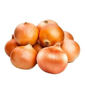 High Quality <b>Fresh</b> Red <b>Onion</b> | Organic <b>Fresh</b> Red <b>Onion</b> | Natural <b>Fresh</b> Red <b>Onion</b> Exporter - Product Image 4