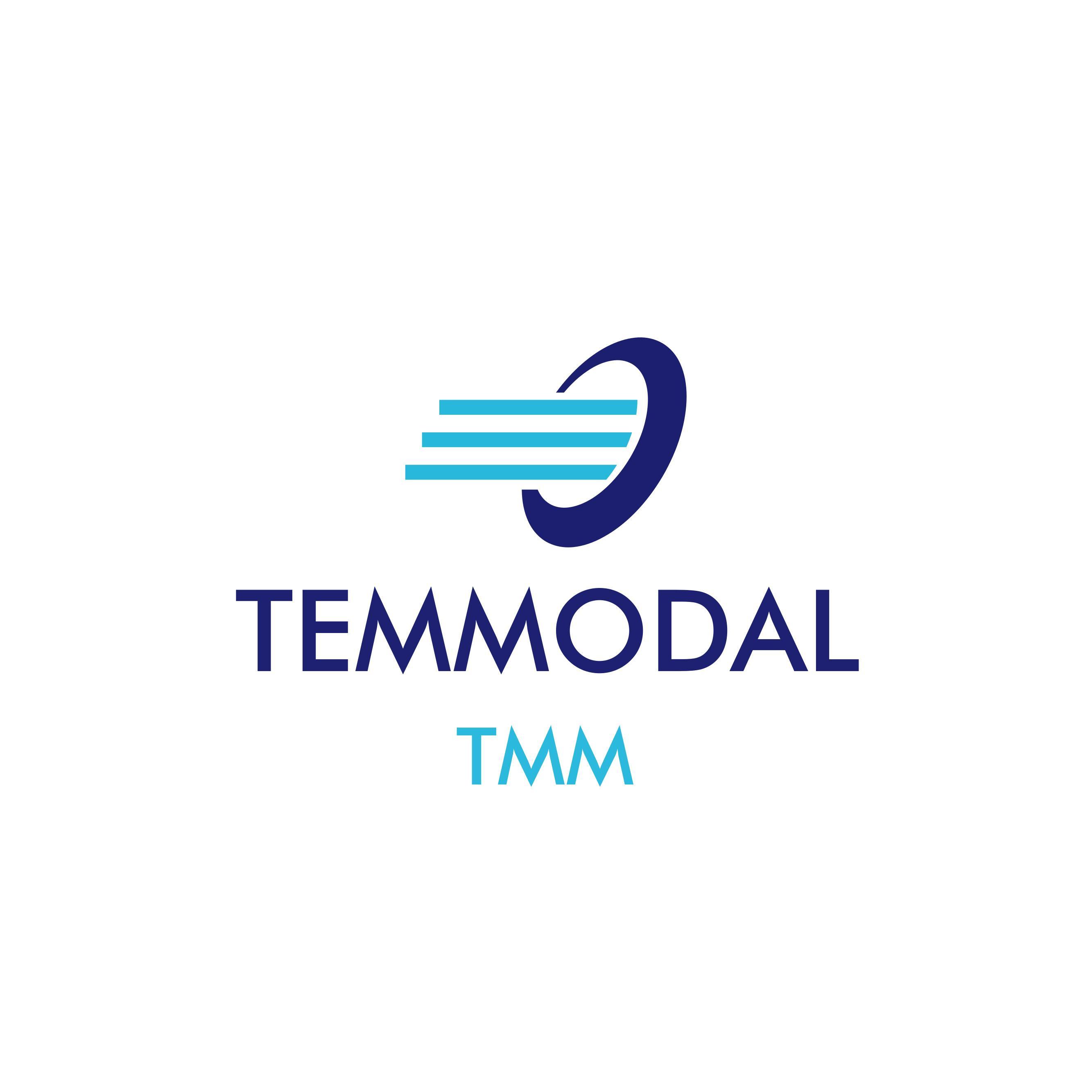 TEMMODAL SARL logo