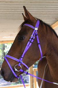 Venta al por mayor equipo ecuestre PVC caballo brida goma circunferencia riendas brida impermeable duradera caballo brida - Product Image 3