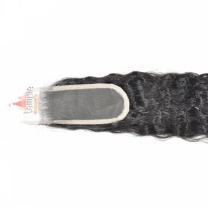 Extensiones de Cabello Humano Natural Vietnamita 2x6, Cierre, 100% Ondulado Profundo, Sin Color, Marcas de Calidad, Económicas - Product Image 5