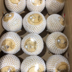 NOIX DE COCO SIAM FRAIS NATUREL/DOUX & HYDRATANT/FABRIQUÉ AU VIETNAM - Product Image 3