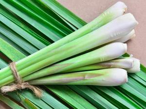 IQF Lemongrass congelé-Citronnelle tranchée/Citronnelle hachée pour l'exportation Produit de légumes surgelés-FOURNISSEUR VIETNAM - Product Image 3