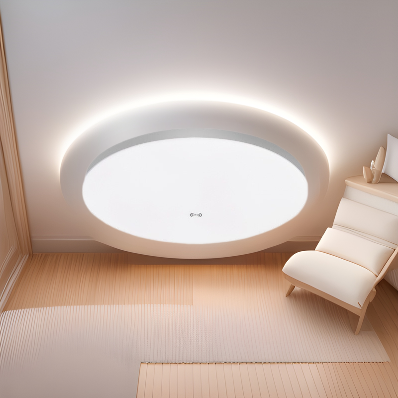 Voice Activated Sensor Ceiling Light - Modern Nordic RoundAcrylic Lamp for Hallway Corridor Entry Ceiling Light
