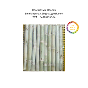 Palitos de caña de azúcar congelados IQF listos para usar para la industria de jugos y bebidas, suministro a granel al por mayor para fábricas - Product Image 1