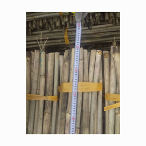 เสาไม้ไผ่ธรรมชาติขนาด3เมตรเสาไม้ไผ่ - Product Image 2