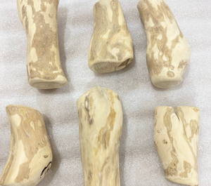 Jouet pour chien à mâcher en bois de café durable le plus vendu pour les mâcheurs agressifs du fabricant vietnamien pour les grossistes - Product Image 6