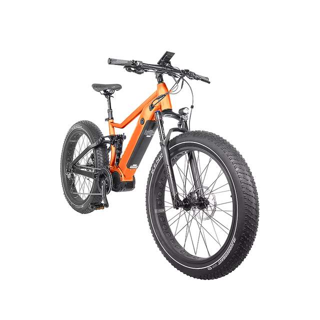 Beach Snow off Road Electric Bicycle 750w Electric Mountain Bike Big Power Electric Mountain Bicycle