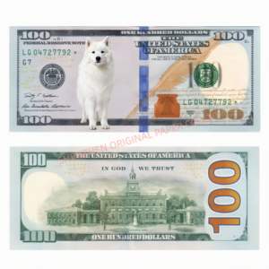 نقود وهمية مخصصة فائقة الدقة لأفلام الأفاتار، للمقالب على يوتيوب، الأفلام الوثائقية، الحفلات، هدايا مفاجئة للأطفال والأصدقاء والحيوانات الأليفة، وديكور فني - Product Image 2