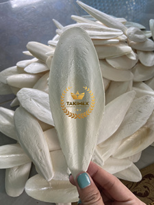 Os de seiche séché de haute qualité de très haute qualité et prix bon marché du Vietnam pour l'exportation 2023 - Product Image 5