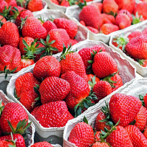 Fraises fraîches de qualité supérieure pour la vente en gros Meilleur prix Achetez maintenant Fruits frais sucrés naturels en stock à vendre - Product Image 6