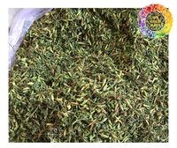 Bunga pepaya kering persediaan bunga pepaya kering terbaik Vietnam untuk campuran teh bahan Spa Kecantikan dan merek Minuman Premium