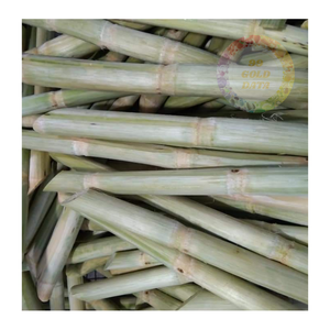 Canne à sucre congelée en vrac pour les marchés internationaux-idéale pour les smoothies, les bars à jus et les entreprises de boissons - Product Image 1