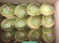 [Hete 2025] Oem Premium Cat Chu Mango-Van Nature Zoet En Vers! Geniet Van Heerlijk Tropisch Fruit Uit Vietnam