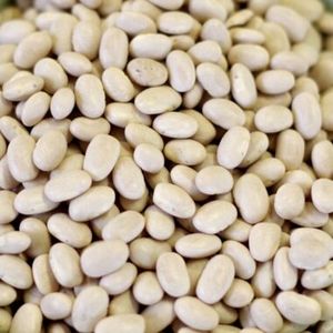 Venta al por mayor de frijoles de Vigna 100% orgánicos de alta calidad, frijoles de Vigna secos frescos, precio de fábrica, Moong Dal, en stock, a la venta - Product Image 1