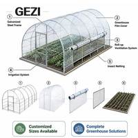 Serre commerciale hydroponique pour la culture de légumes et de tomates, tunnel en plastique à simple travée, tunnel haute hauteur, serre à structure en arche Quonset
