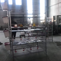 Poulailler adapté aux petites exploitations avicoles, personnalisable, différentes couches, cage à poulets de type H pour poulets de chair, à bon prix