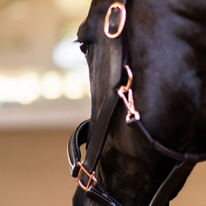 Bride de cheval extérieure haut de gamme fabriquée à partir de cuir pleine fleur en style selle anglaise avec des options personnalisées pour la couleur de la taille - Product Image 6