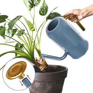 Arrosoir en métal avec bec amovible et poignée couleur laiton, joli arrosoir en acier galvanisé avec motif cactus - Product Image 1