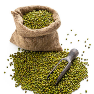Compre frijoles mungo verdes al por mayor, frijoles mungo Vigna verdes de alta calidad, frijoles mungo al por mayor - Product Image 2