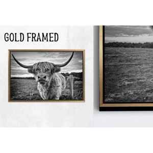 Tableau sur toile imprimé Vache des Highlands : Affiche élégante de bétail écossais, 1P Goldframedcanvas - Product Image 1
