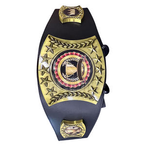 Ceintures de championnat confortables pour les arts martiaux mixtes, prix raisonnable - Product Image 3