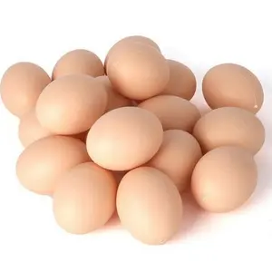 Buy Chicken Eggs Ostrich Eggs, Chicken Eggs, Turkey Eggs Fresh Table Eggs Brown And White