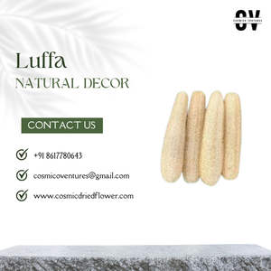 Fleur séchée de Luffa artificielle de haute qualité pour la décoration intérieure désherbage décoration d'anniversaire - Product Image 3