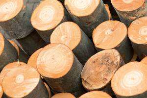 Châu Âu sồi gỗ cứng bản ghi các loại khác nhau của gỗ bao gồm Oak keo thông Gỗ Tếch Bạch Dương Rosewood gỗ - Product Image 2