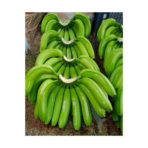 Hot Selling <b>Fresh</b> <b>Bananas</b> Green Cavendish <b>Banana</b> - Product Image 1