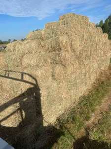 100% paille de riz naturelle paille de blé bon prix meilleure qualité matériel d'alimentation pour animaux du Vietnam en gros - Product Image 5