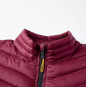 Vestes matelassées à col montant pour hommes de qualité supérieure, printemps-hiver, toile respirante avec revêtement, veste d'hiver chaude - Product Image 5