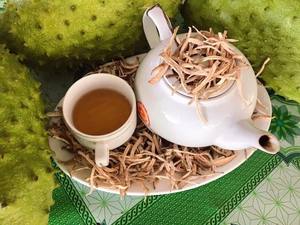 Thé de corossol séché : un moyen délicieux et nutritif de stimuler votre bien-être. - Product Image 6