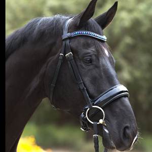 บังเหียนหนังงูม้าแฟชั่นคุณภาพสูง - Product Image 1